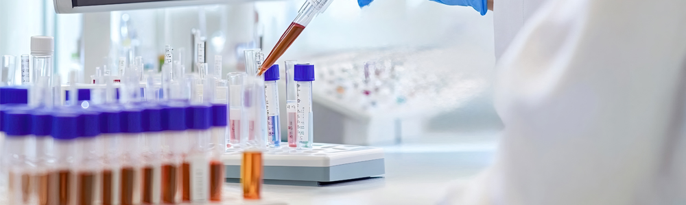 Licence Génie Biomédicale